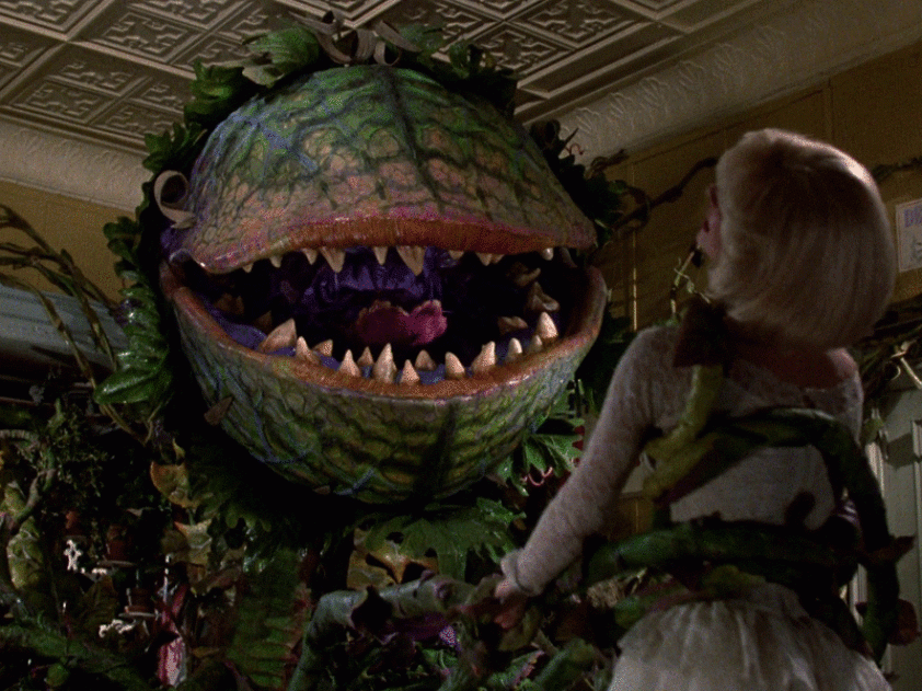 9811a72c6db8f8e7d8d4d6f186c0765a.gif