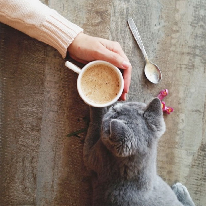 coffee.jpg.jpeg