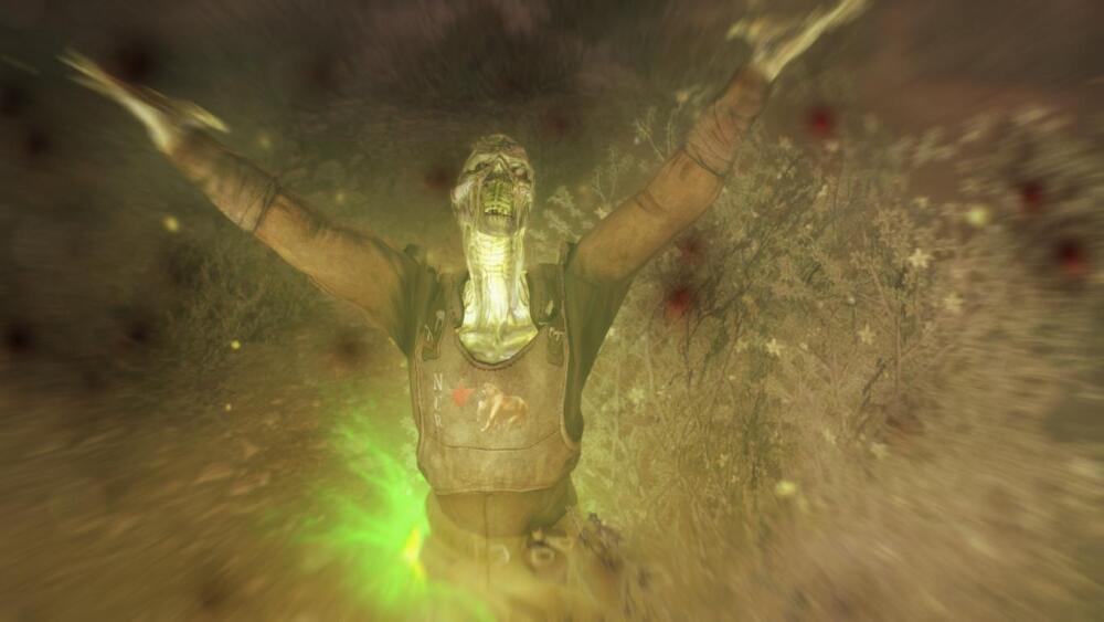Fallout-NV-2021-01-11-23-43-03-49.jpg.jpeg