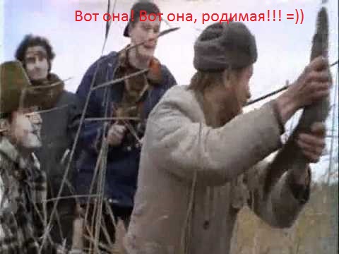 fe5d420f978f625df310ff0fad8201ab.jpg.jpeg