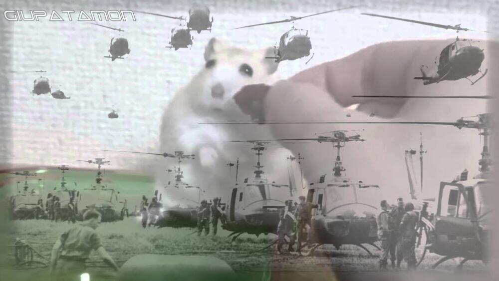 maxresdefault.jpg.jpeg
