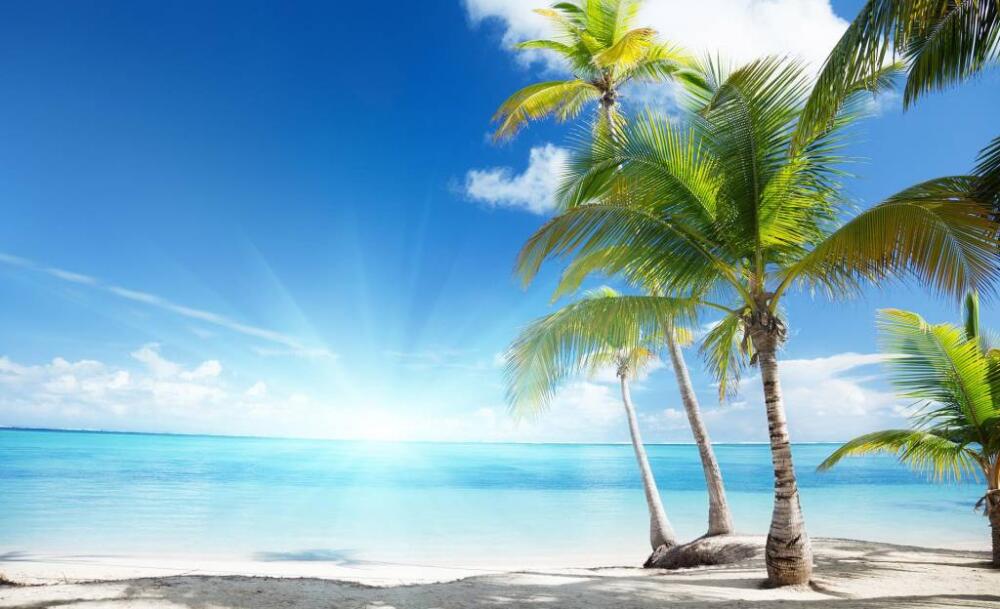 palmen-am-strand.jpg.jpeg