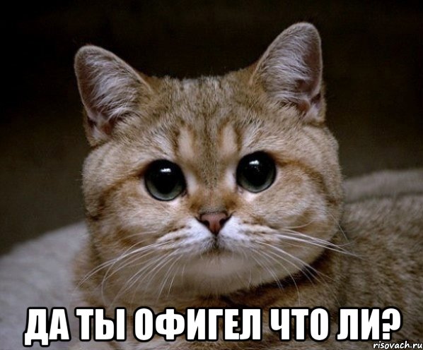 pidrila-ebanaya_21479688_orig_.jpeg