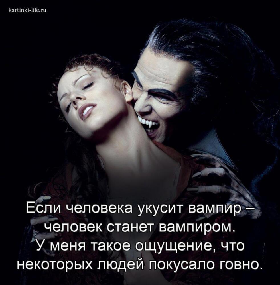 Белый Клык.jpg