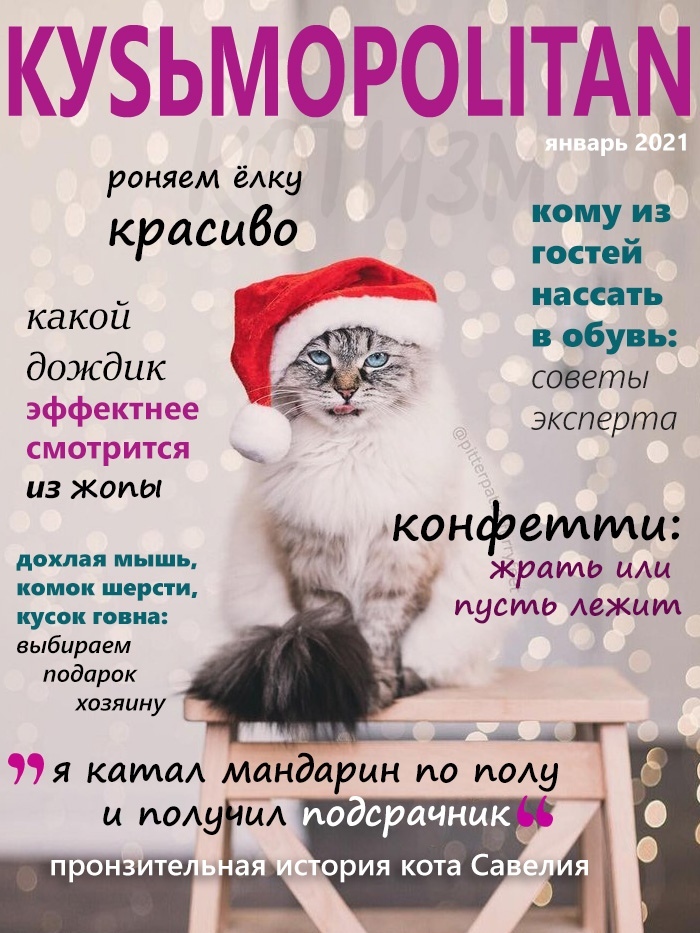 Rx2A2sJUIzI.jpg.jpeg
