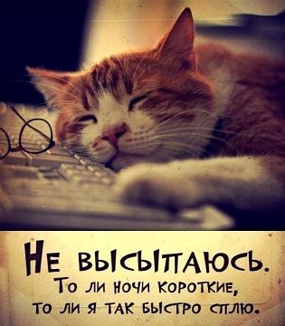 3449451-3a66e0a9b24cc050.jpg.jpeg