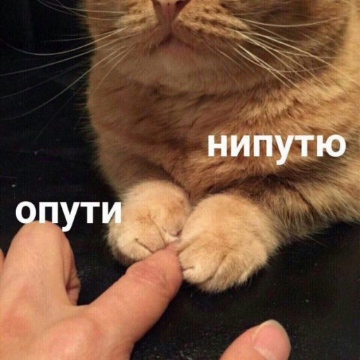 6Db3ZU16EKA.jpg.jpeg