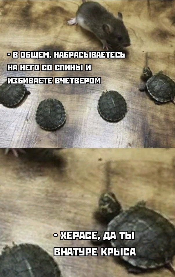 be9fbaa7d9d94289eb13d14fe5e5aab8.jpg.jpeg
