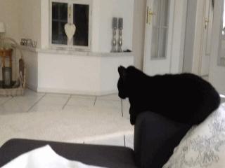LvxY.gif