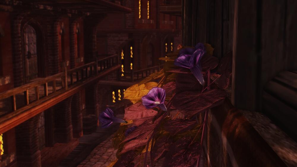 Oblivion-2021-01-30-18-55-08-956.jpg.jpeg