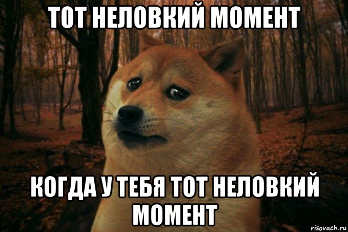 sad-doge_68678652_orig_.jpg.jpeg