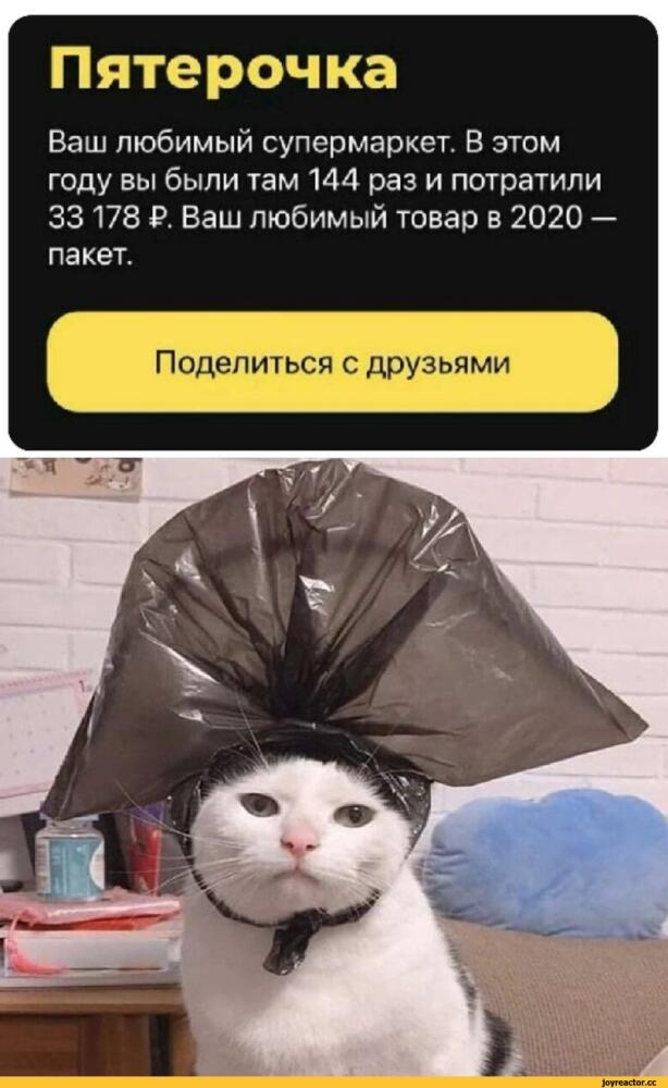 %D1%81%D0%BC%D0%B5%D1%88%D0%BD%D1%8B%D0%B5-%D0%BA%D0%B0%D1%80%D1%82%D0%B8%D0%BD%D0%BA%D0%B8-%D0%BA%D0%BE%D1%82%D1%8D-6513715.jpe.jpeg