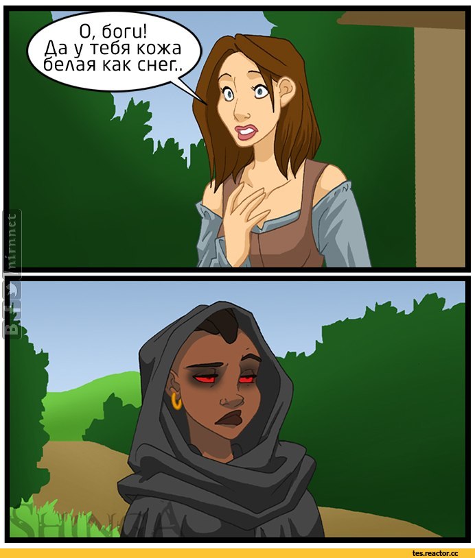 The-Elder-Scrolls-%D1%84%D1%8D%D0%BD%D0%B4%D0%BE%D0%BC%D1%8B-Skyrim-Morrowind-2936195.jpeg