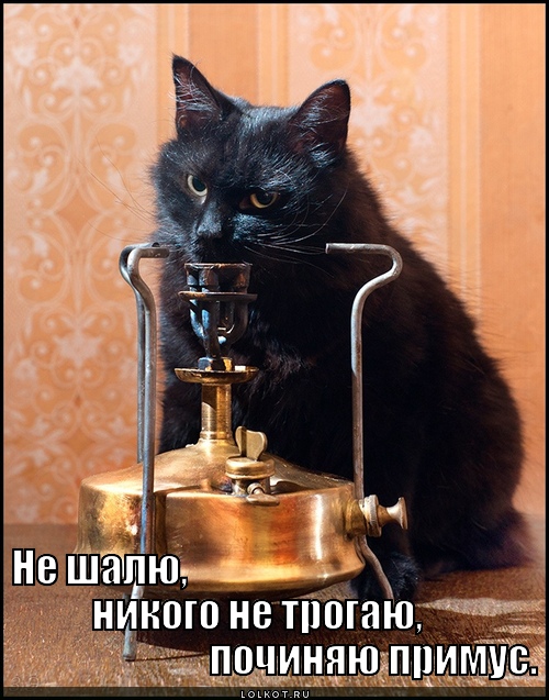 0u25c93668-752d2b76-5e0b0274.jpg.jpeg