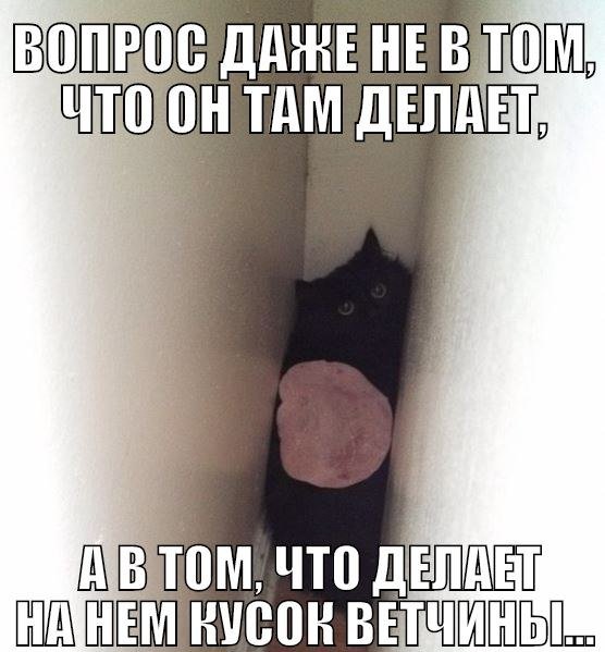 1412092232_raznoobraznaya_2-12.jpeg