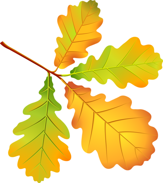 1449214187_dub2.png.webp.png