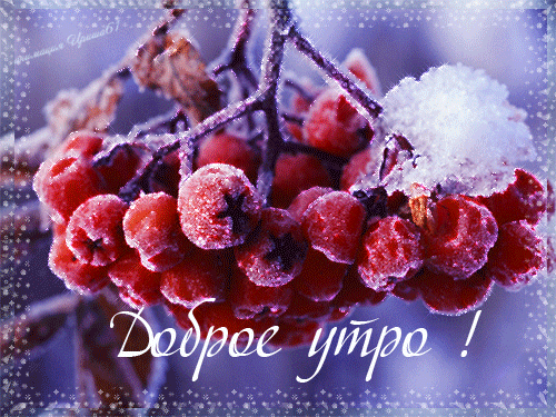6943-irinochka-utro_zima.gif