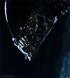 Alien-81665.gif