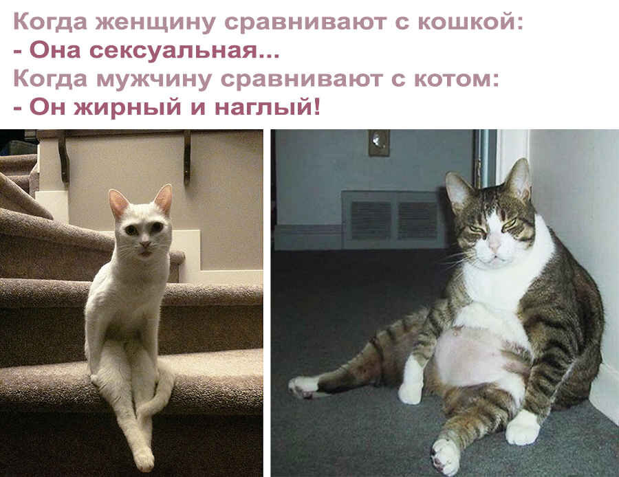 b9e926c00db9d71dc2b1b62dd21165a0.jpg.jpeg