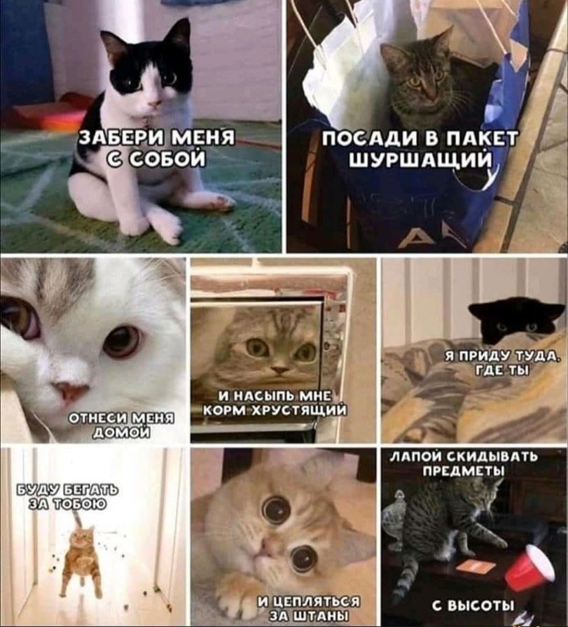 jpg.jpeg