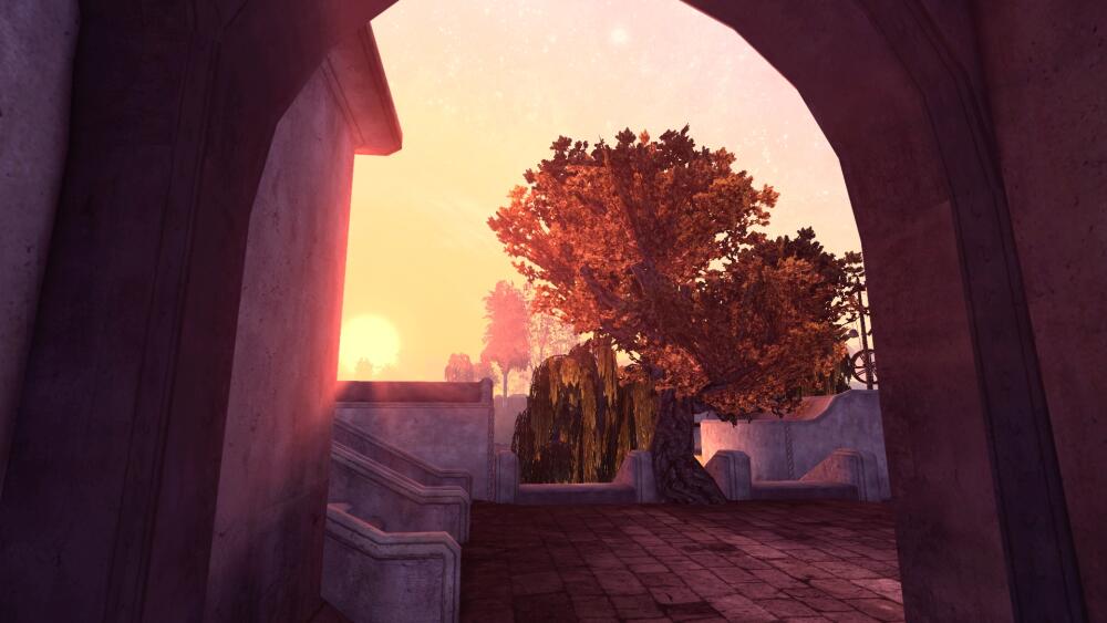 Morrowind-2021-03-02-20-17-17-080.jpg.jpeg