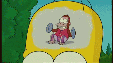 _obezyana_yapfiles.ru.gif