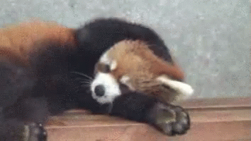 orig.gif