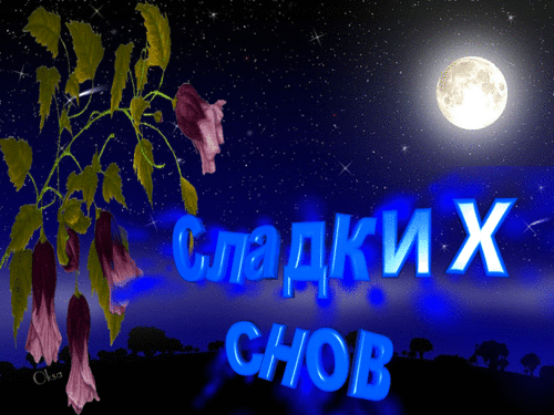 Сладких снов 10.06.Окса.gif