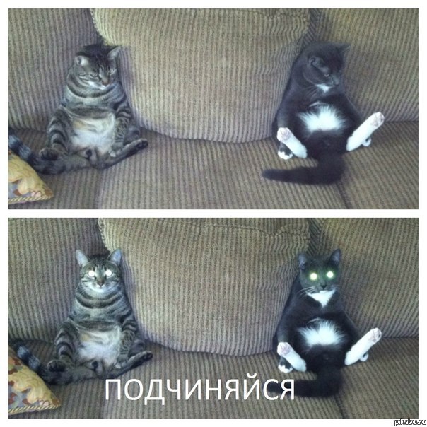 tm7.jpg.jpeg