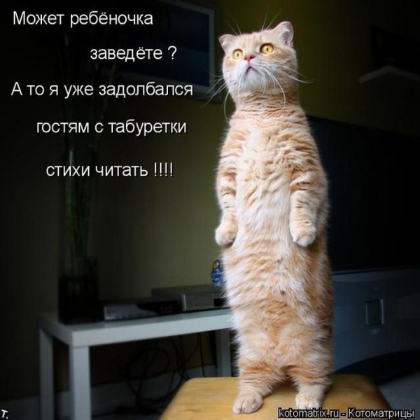 0a4932f0284fb5a8c39ec364f26a3436.jpg.jpeg