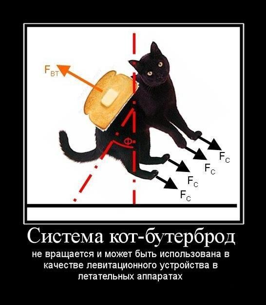 1536989.jpg.jpeg