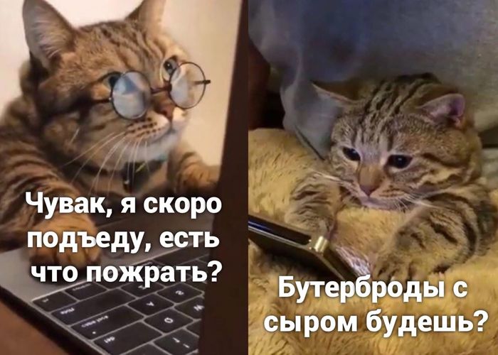 1603349073199350616.jpg.jpeg