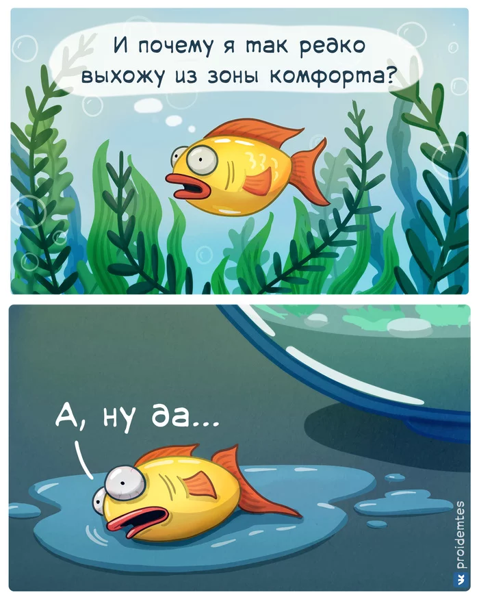 1619692888189033389.webp
