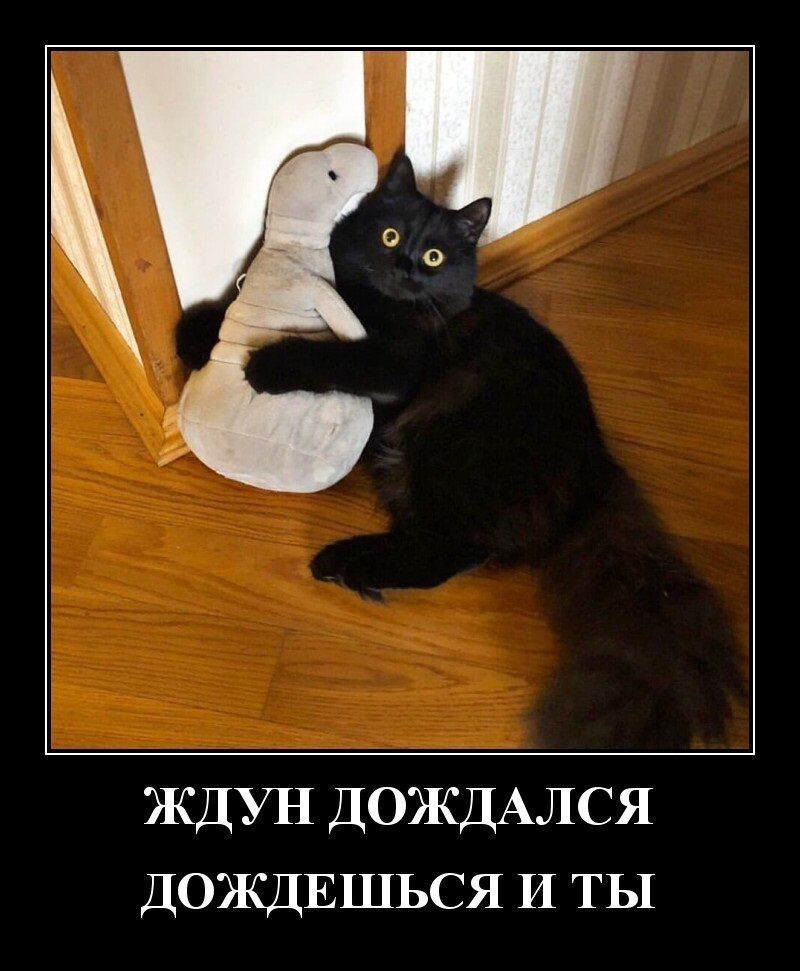 9750c50f6f6d262f370980dd920be85d.jpg.jpeg