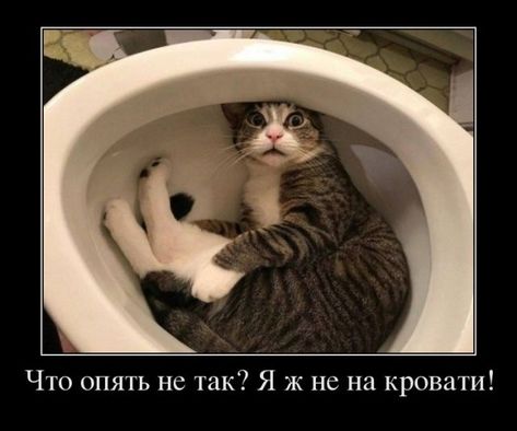 9f56c49e8836bf8c615ff1ebef33053f.jpg.jpeg
