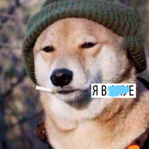 becc812ad251f48f23da4c8ce69d9d7e.jpg.jpeg