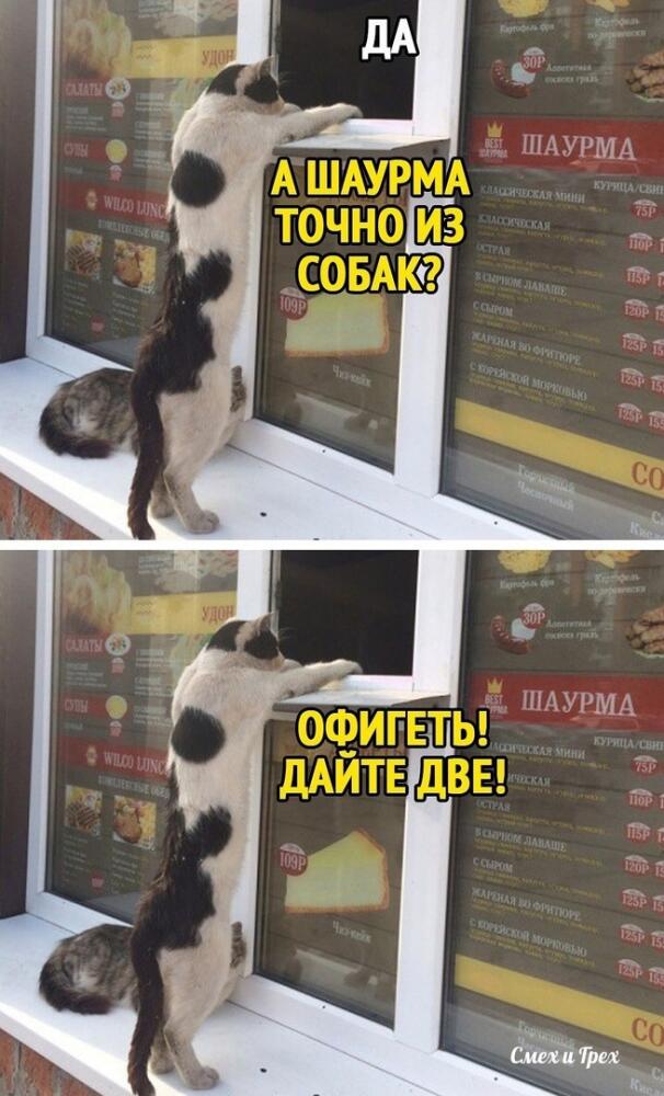 ce5ebe8dc5bab726e9c86108ab8cf6b6.jpg.jpeg