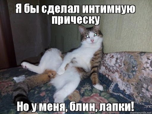 d929015b289ff44a0e72f498483c5f3f.jpg.jpeg