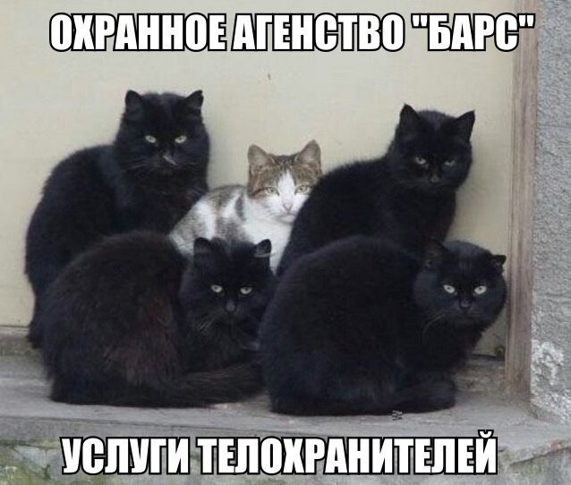 eJKdCsfZVrA.jpg.jpeg