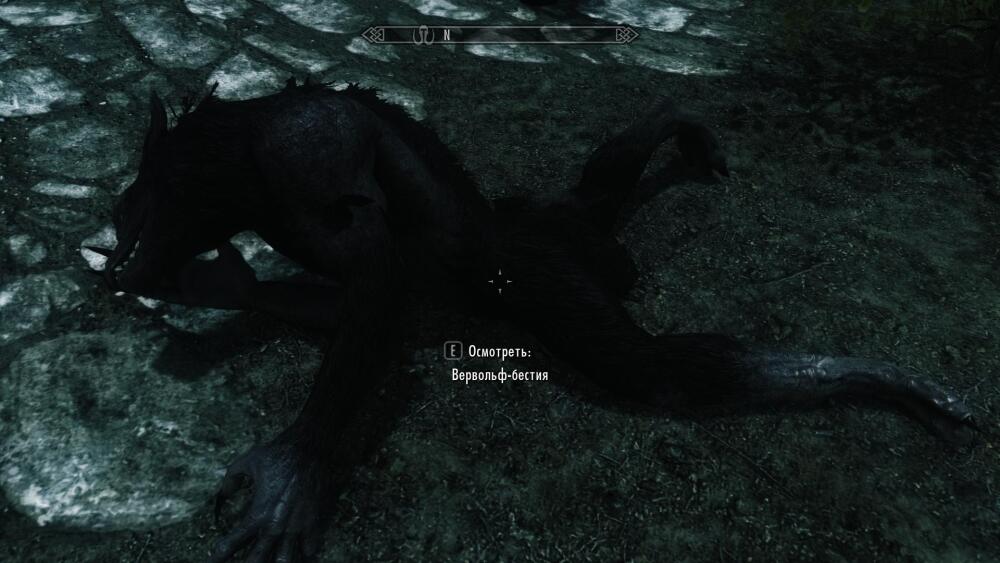 MBoWB.jpg.jpeg
