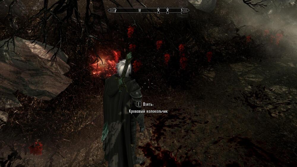 MDuNi.jpg.jpeg