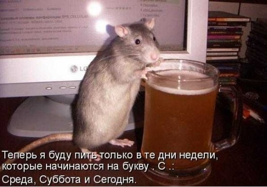 prikolnye-kartinki-pro-sredu-3-1.jpg.jpeg