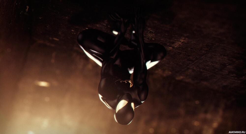 Spider-man-13884.jpg.jpeg