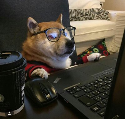 tumblr_0cf7af0ec76ffbd253c7e686d5f23a47_316f9610_400.jpg.jpeg