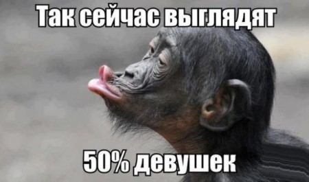 0-74e752-b89170cb-orig-450x265.jpg.jpeg