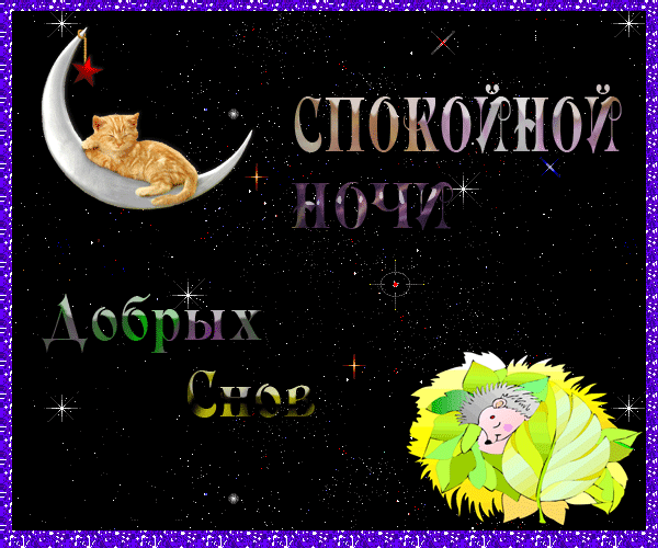 13.gif
