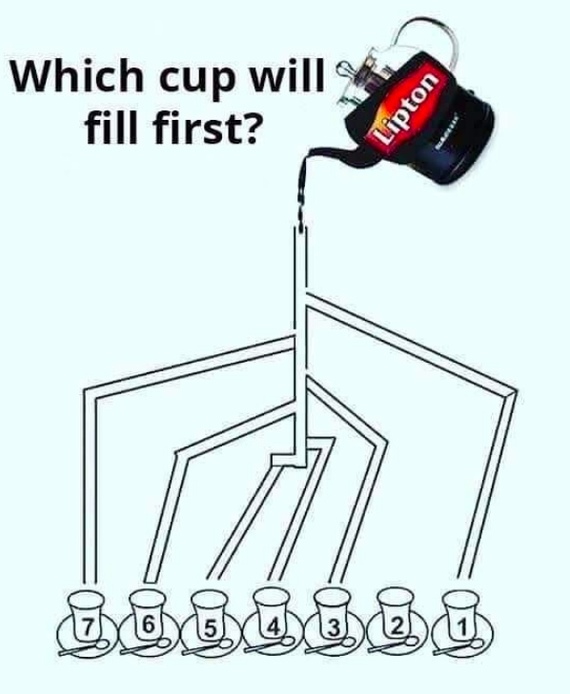 1552651056191051085.jpg.jpeg