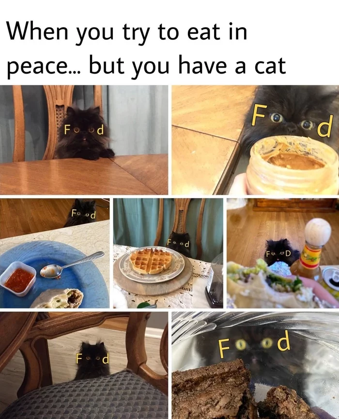 1620244216144263345.webp