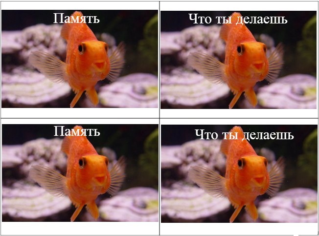 81867572.jpg.jpeg