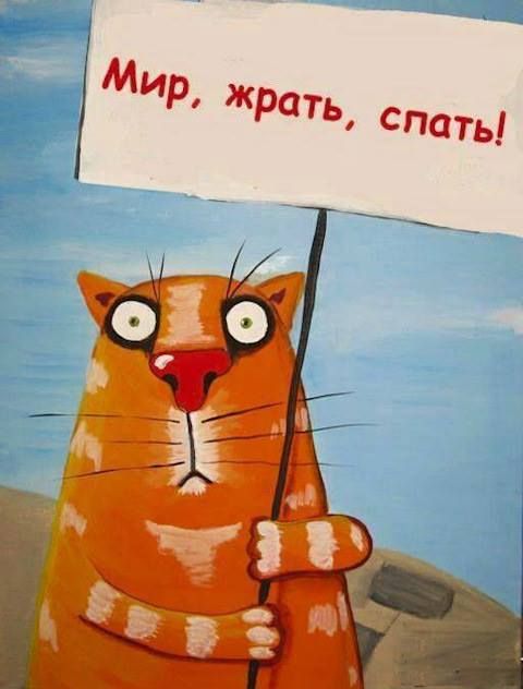 9cc56b06ec8a231bf5a0dc9a513cb01d.jpg.jpeg
